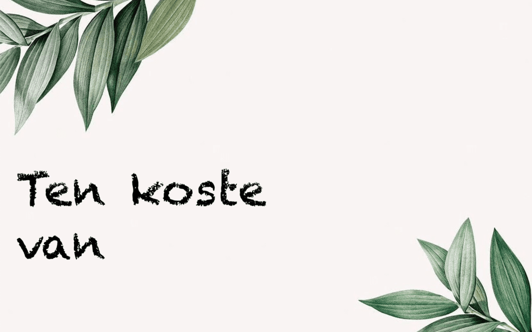 22 – Ten koste van